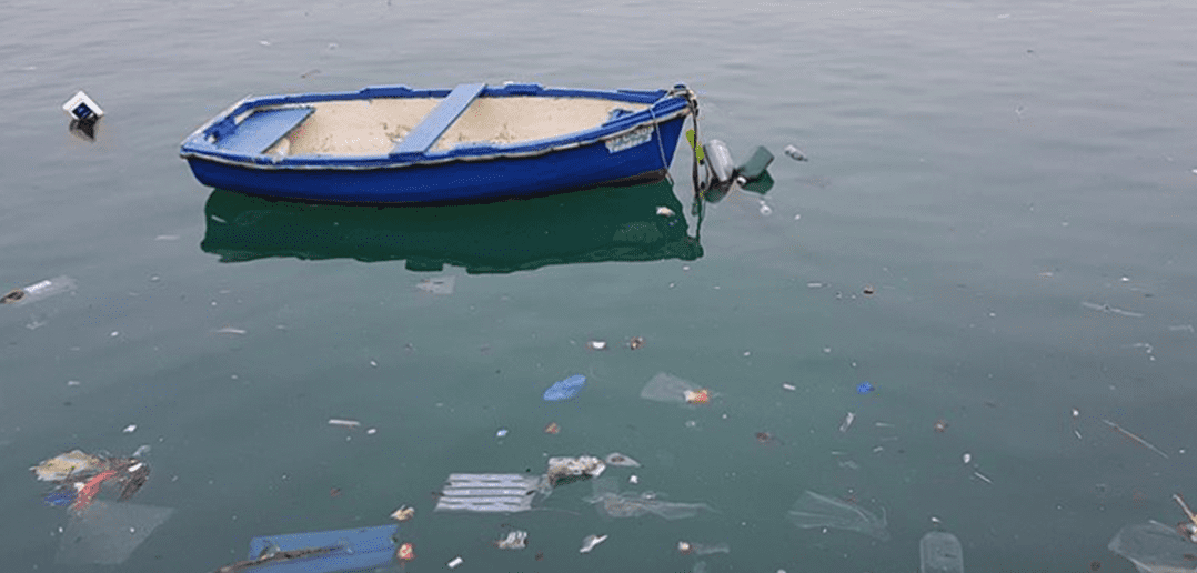 The Parallels Team Participates in the Global Clean Up